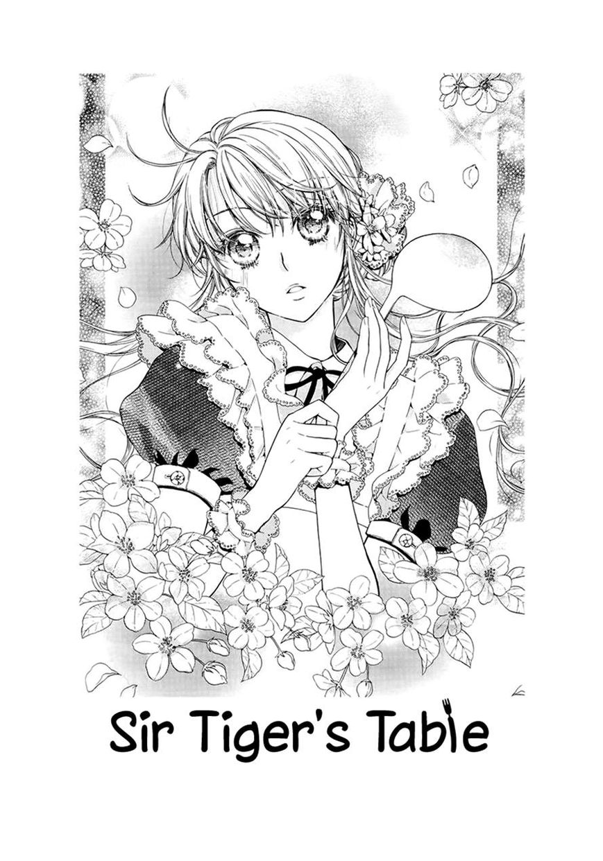 Sir Tigers Table 12