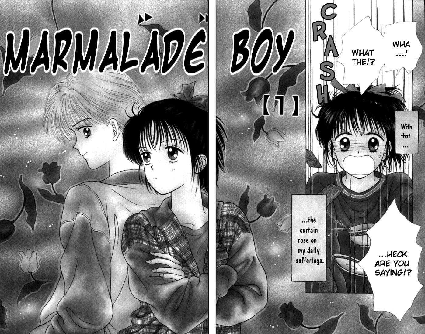 Marmalade Boy 1