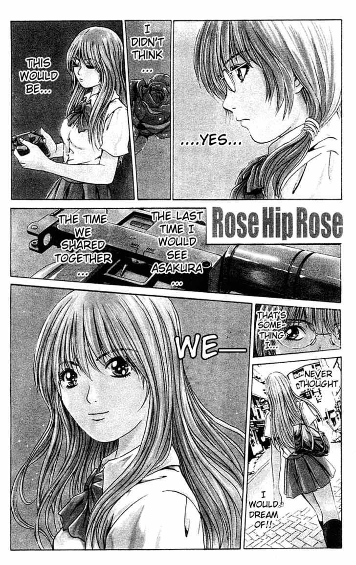 Rose Hip Rose 11