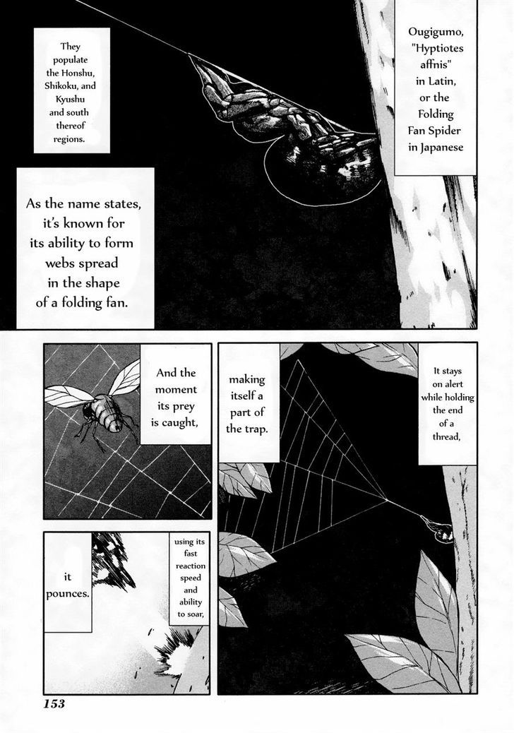 Arachnid 49