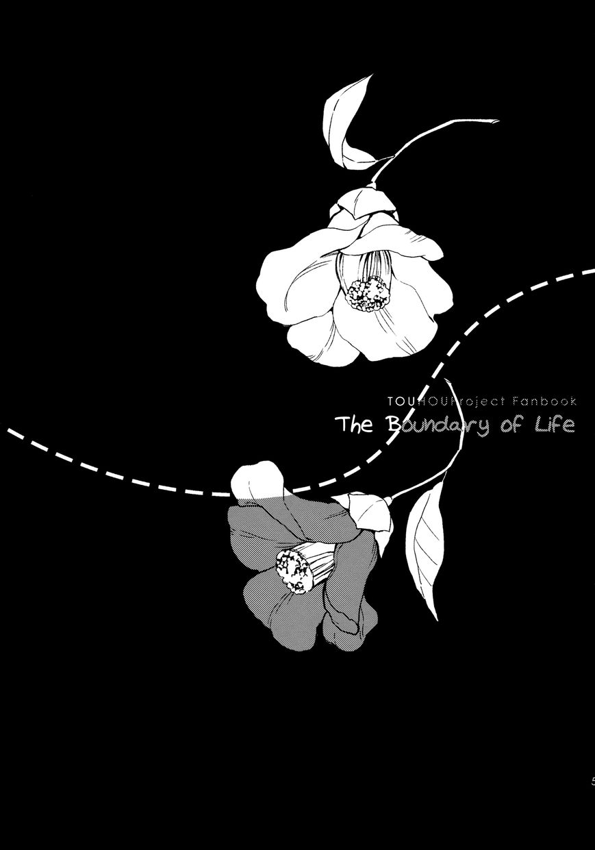 Touhou Project dj - The Boundary of Life 1