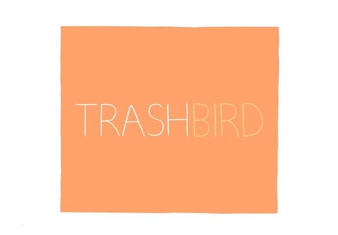 Trash Bird 3